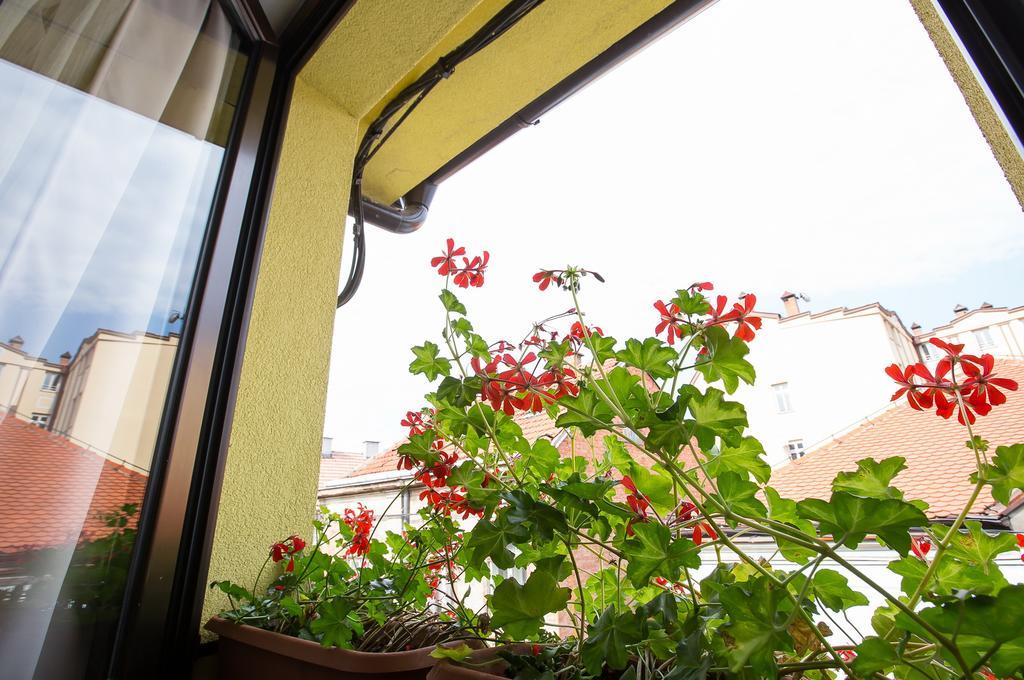 Heartland City B&B توزلا المظهر الخارجي الصورة